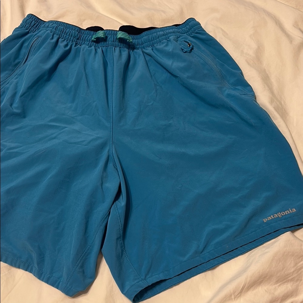 Patagonia Teal Performance Shorts